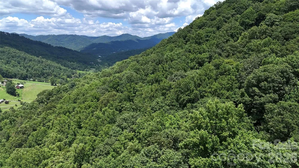 TBD Paint Fork Road Barnardsville, NC 28709