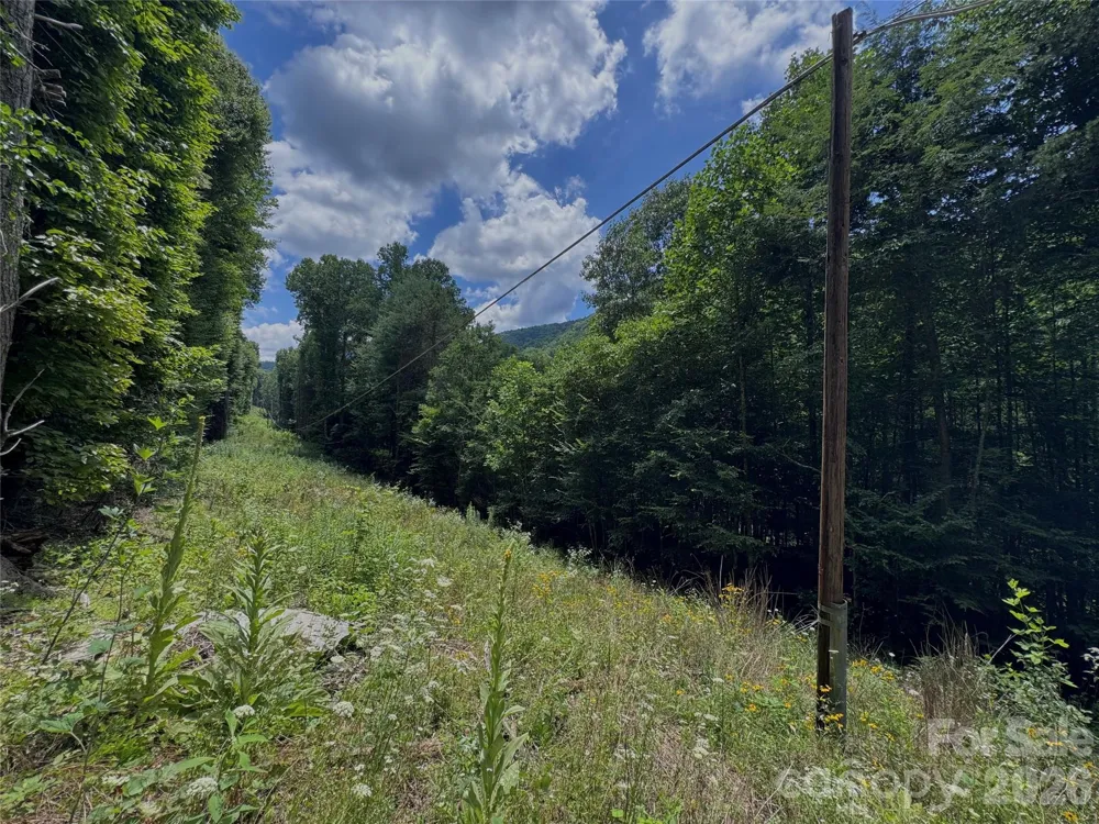 TBD Paint Fork Road Barnardsville, NC 28709