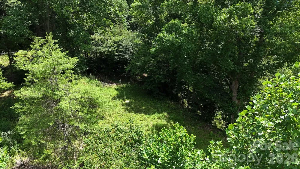 TBD Paint Fork Road Barnardsville, NC 28709