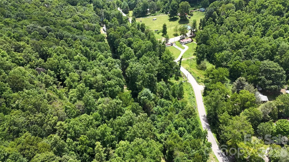 TBD Paint Fork Road Barnardsville, NC 28709