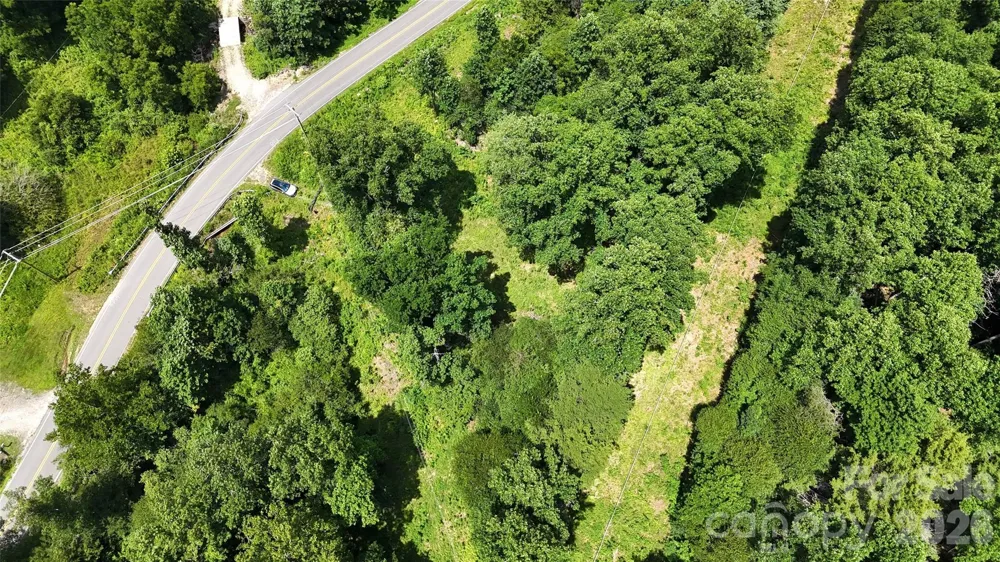 TBD Paint Fork Road Barnardsville, NC 28709