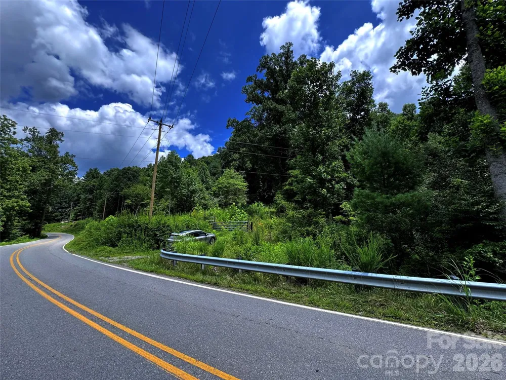 TBD Paint Fork Road Barnardsville, NC 28709