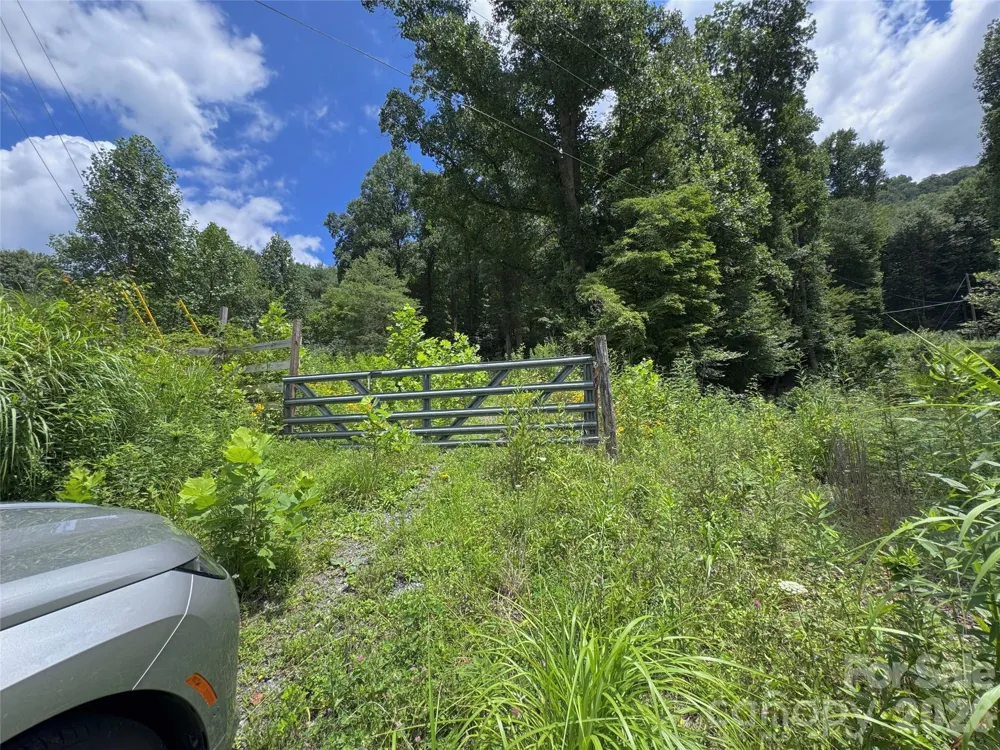 TBD Paint Fork Road Barnardsville, NC 28709