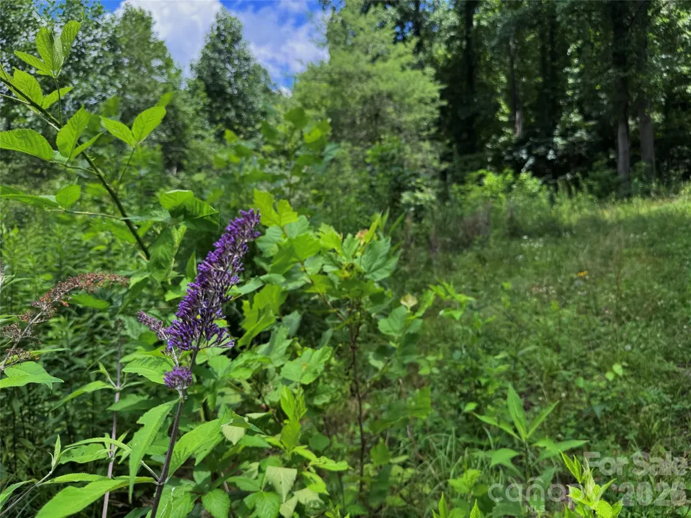 TBD Paint Fork Road Barnardsville, NC 28709