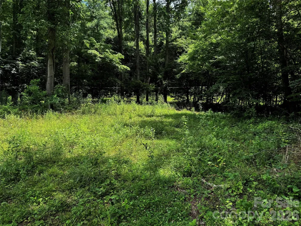 TBD Paint Fork Road Barnardsville, NC 28709
