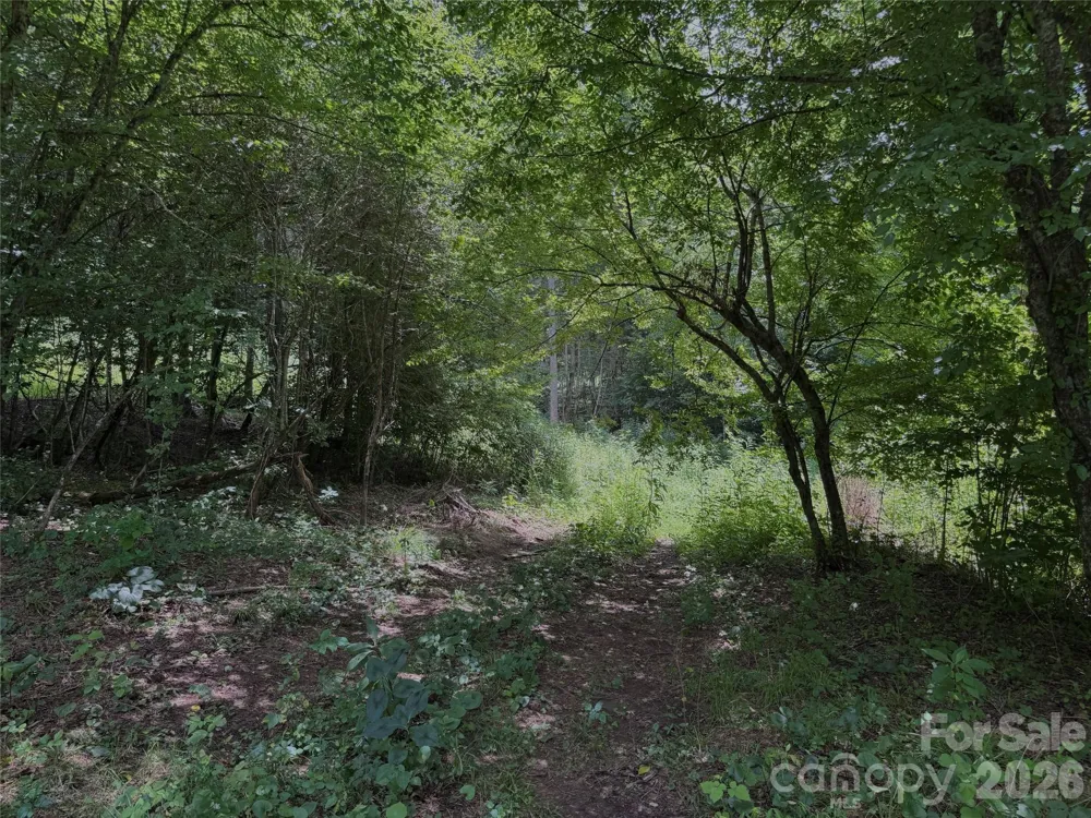 TBD Paint Fork Road Barnardsville, NC 28709