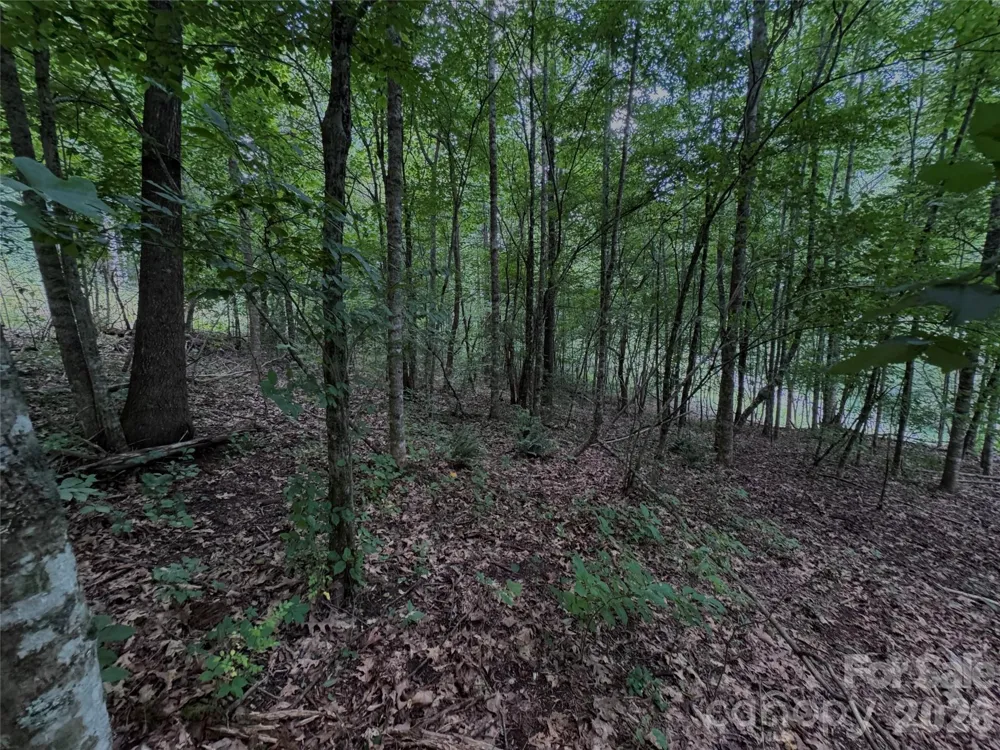 TBD Paint Fork Road Barnardsville, NC 28709