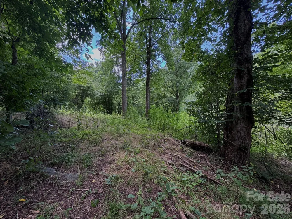 TBD Paint Fork Road Barnardsville, NC 28709