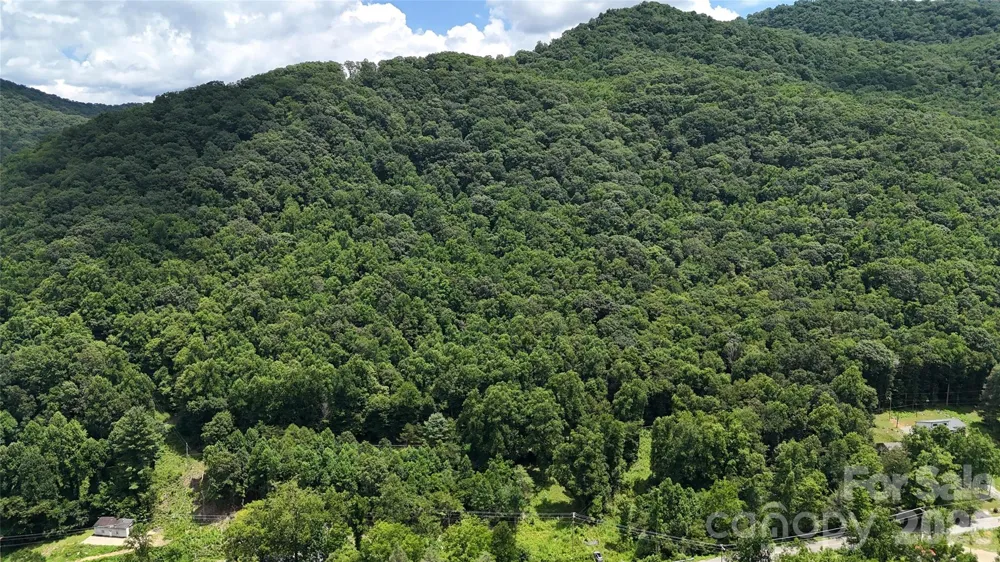 TBD Paint Fork Road Barnardsville, NC 28709