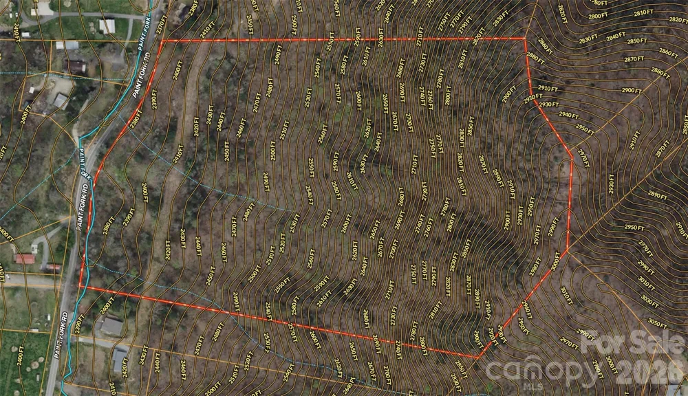TBD Paint Fork Road Barnardsville, NC 28709