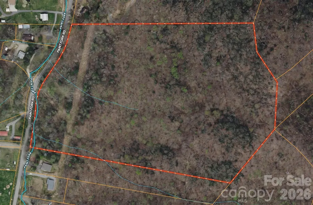 TBD Paint Fork Road Barnardsville, NC 28709