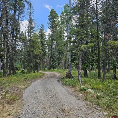 764 Deer Trail