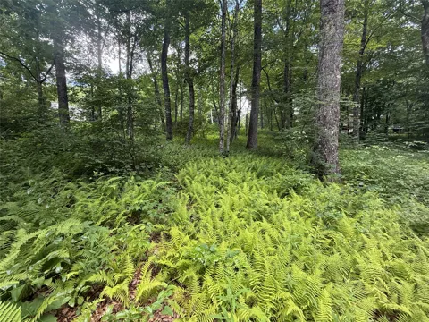 Lot 9 Apple Mountain Lane