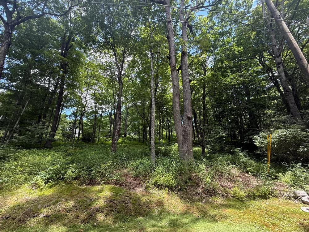 Lot 9 Apple Mountain Lane Highlands, NC 28741