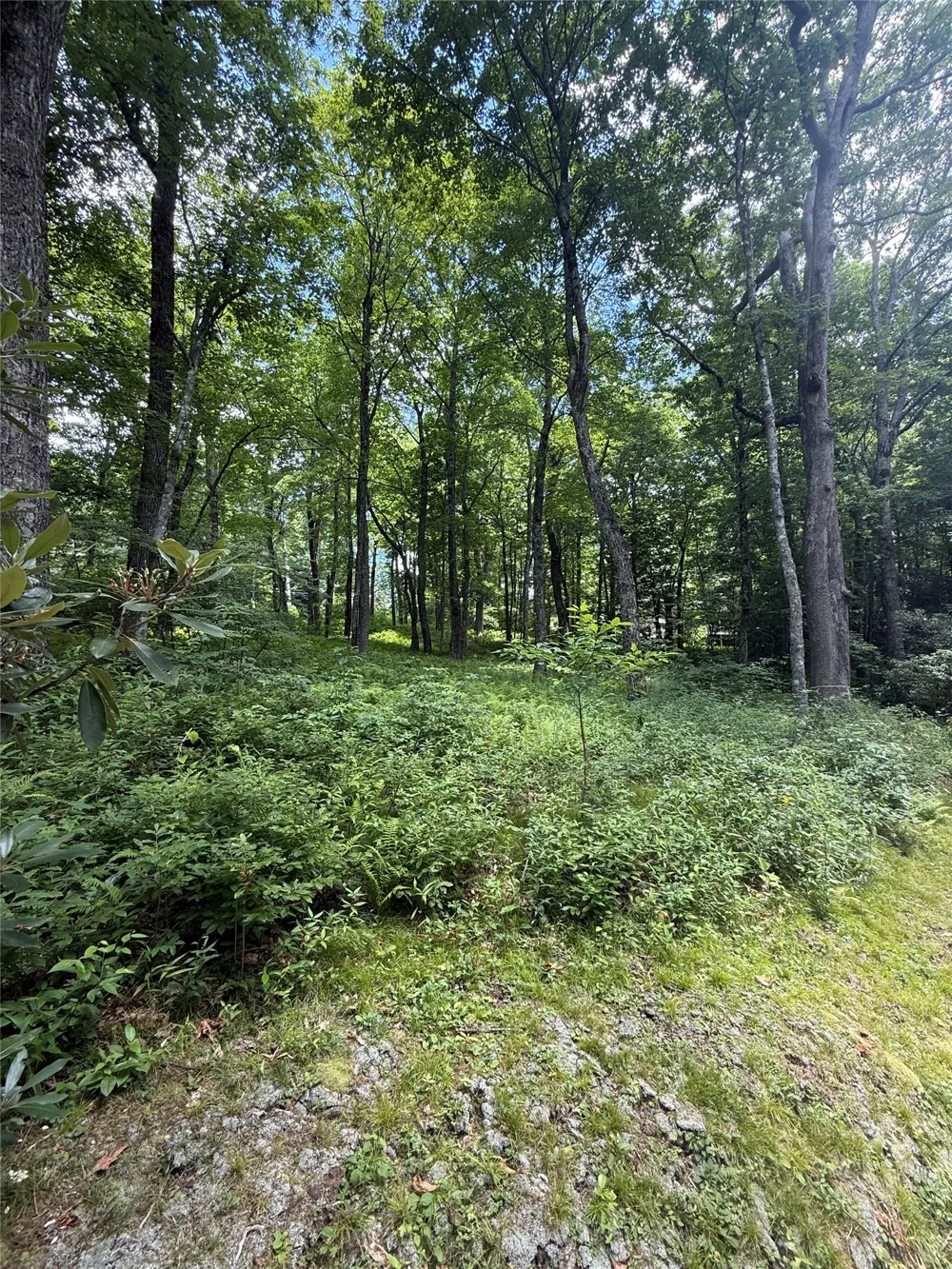 Lot 9 Apple Mountain Lane Highlands, NC 28741
