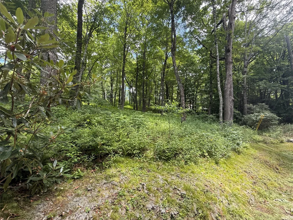 Lot 9 Apple Mountain Lane Highlands, NC 28741