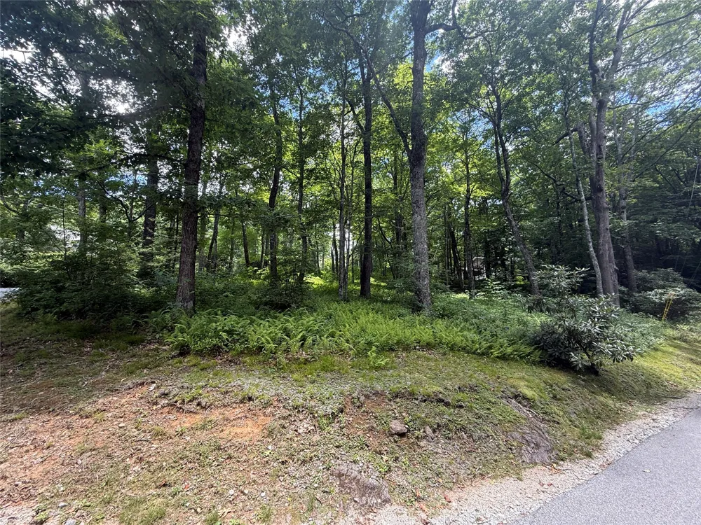 Lot 9 Apple Mountain Lane Highlands, NC 28741