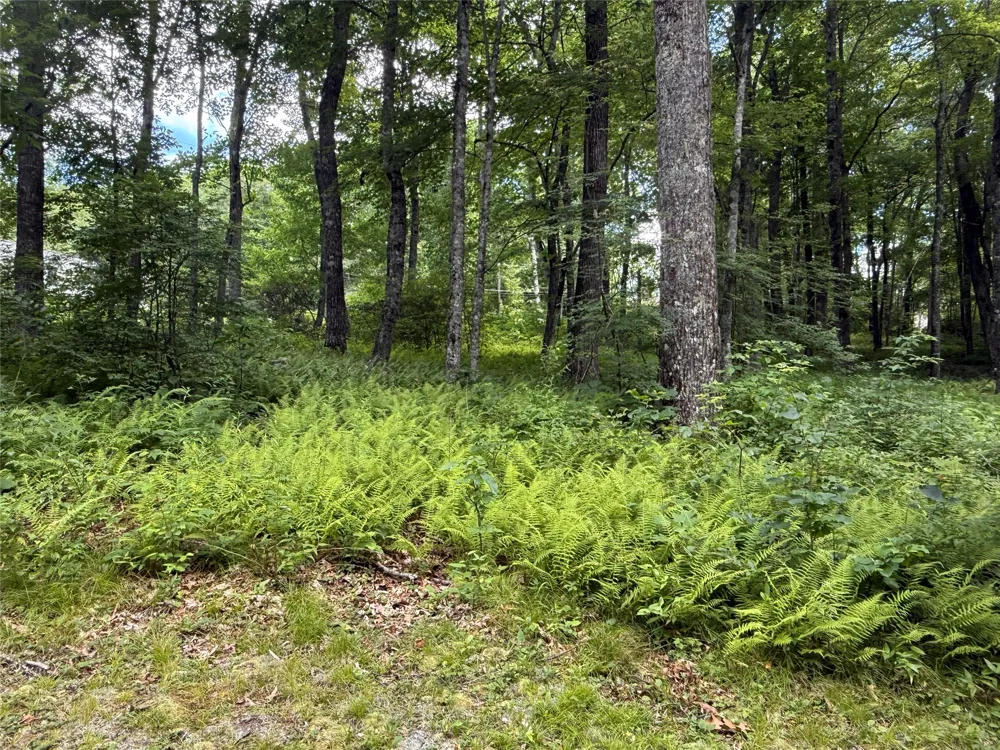 Lot 9 Apple Mountain Lane Highlands, NC 28741