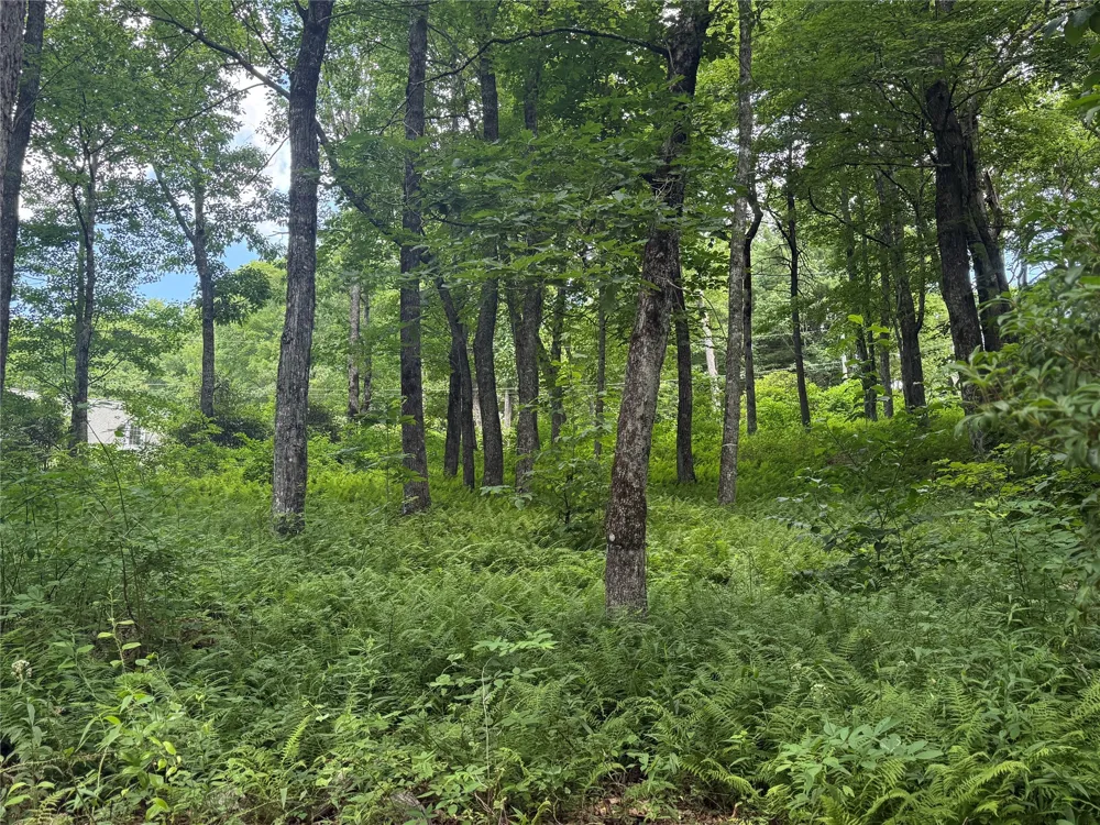 Lot 9 Apple Mountain Lane Highlands, NC 28741