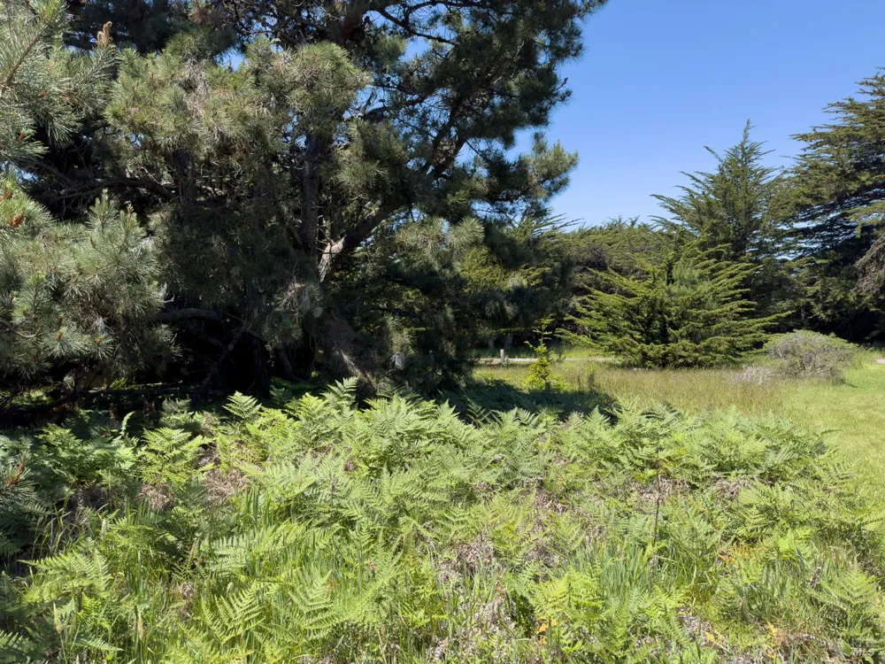 41889 Leeward Road The Sea Ranch, CA 95497
