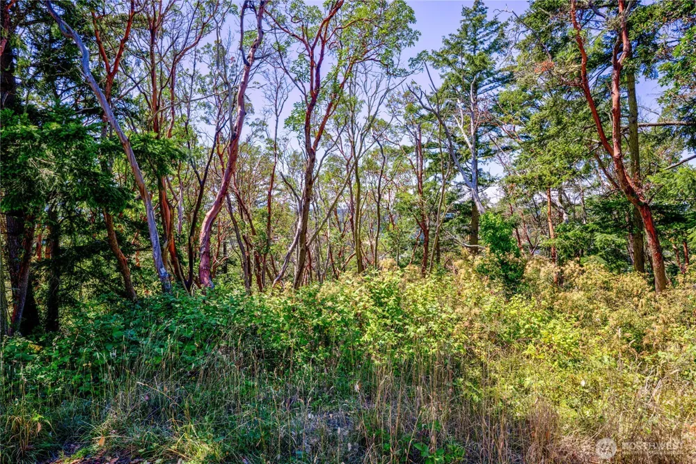 1025 Maple Street Port Townsend, WA 98368