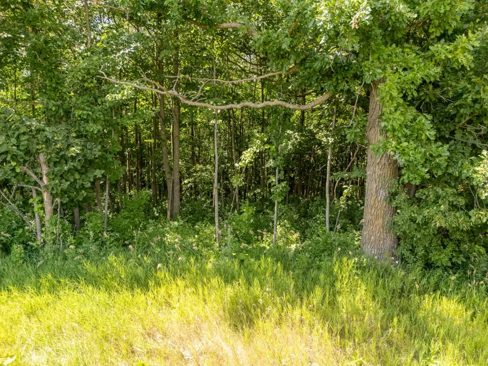 TBD XXX County Road 3 Eagle Bend, MN 56446