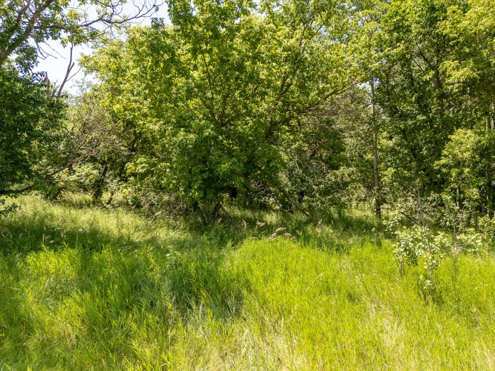 TBD XXX County Road 3 Eagle Bend, MN 56446