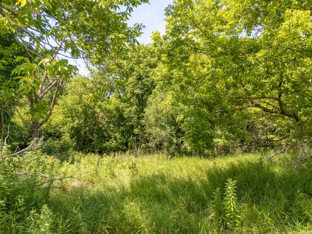 TBD XXX County Road 3 Eagle Bend, MN 56446