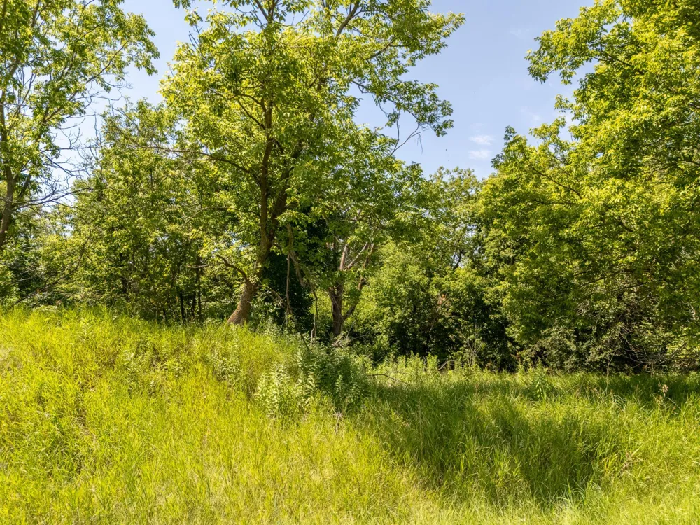 TBD XXX County Road 3 Eagle Bend, MN 56446