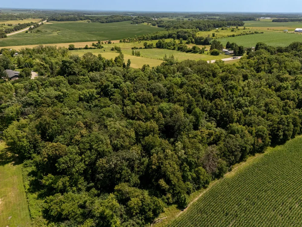 TBD XXX County Road 3 Eagle Bend, MN 56446