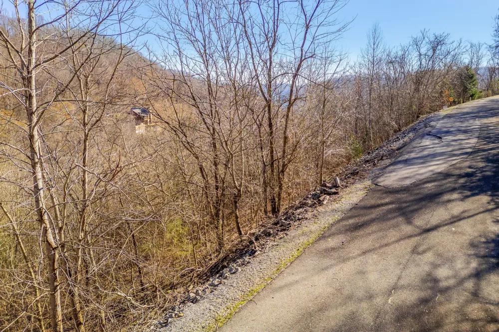 83 Waterwalk CT Smithville, TN 37166