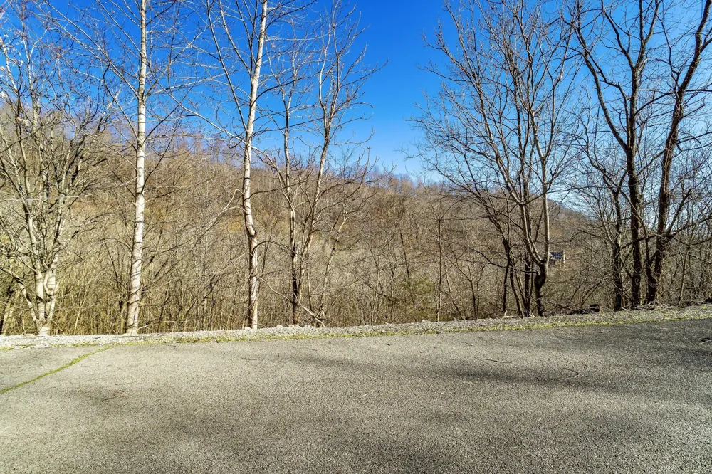 83 Waterwalk CT Smithville, TN 37166