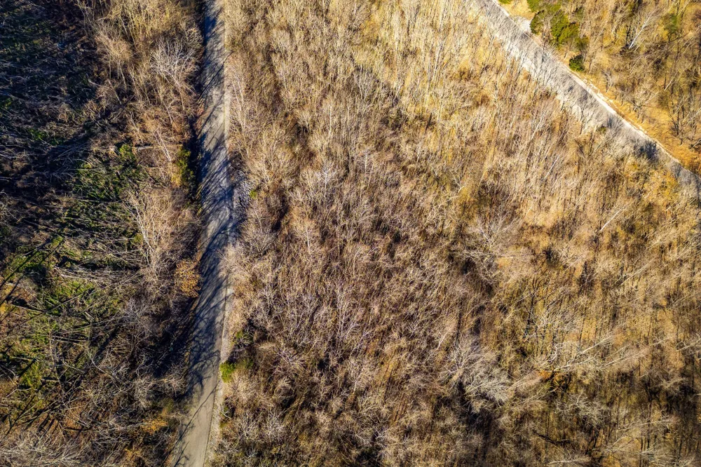 83 Waterwalk CT Smithville, TN 37166