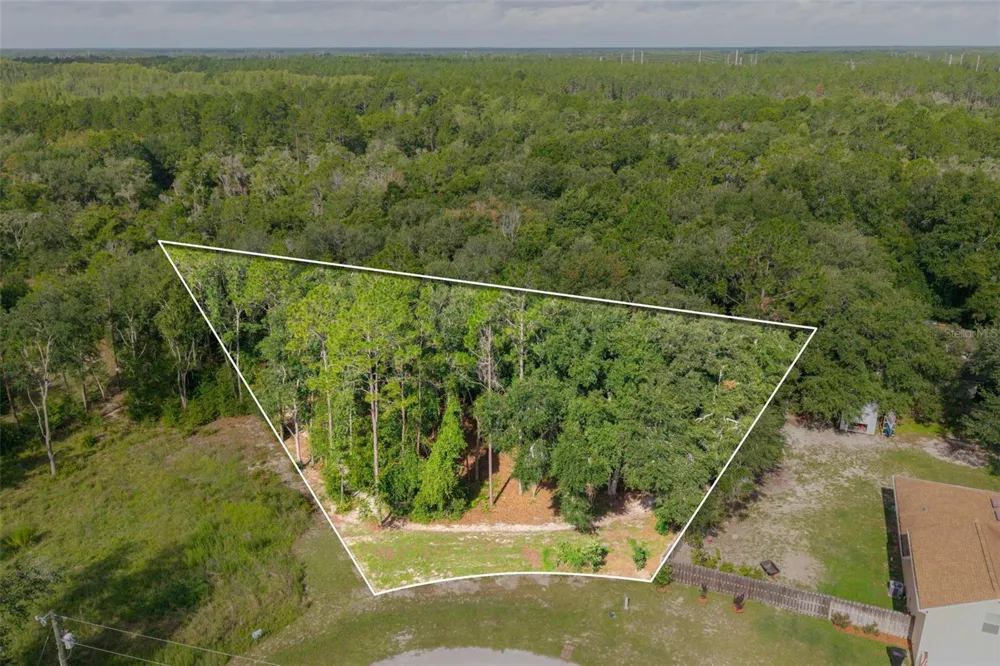 40 DEER TRAIL CIRCLE Bronson, FL 32621
