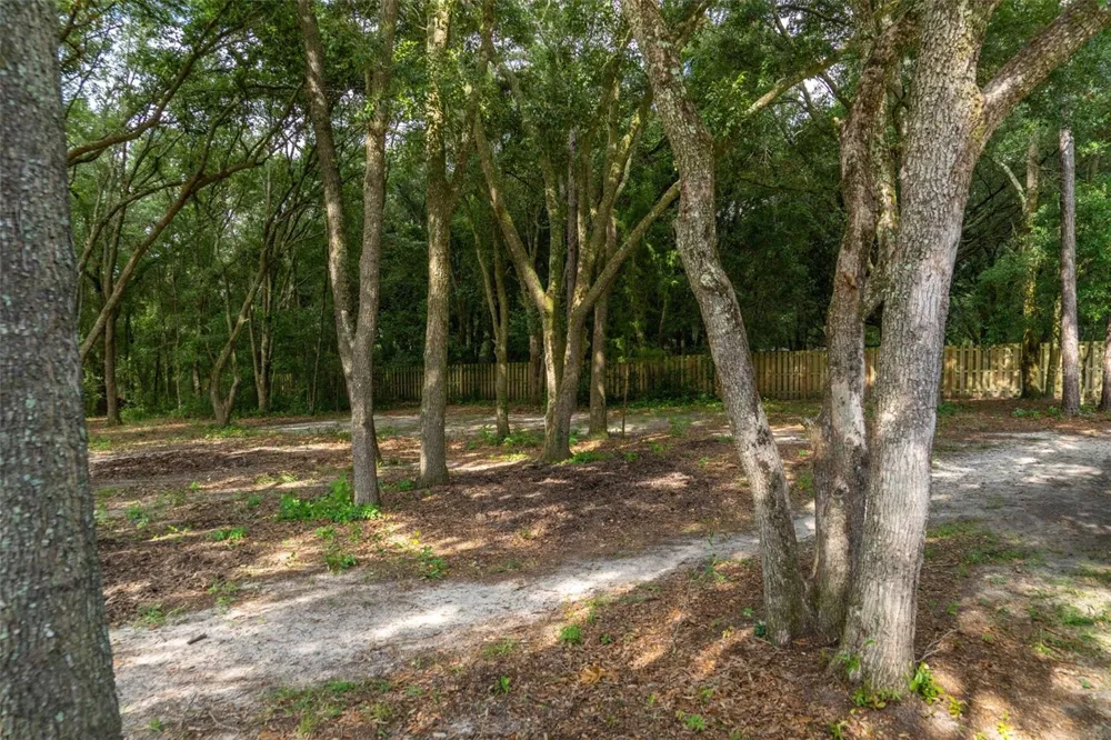 40 DEER TRAIL CIRCLE Bronson, FL 32621