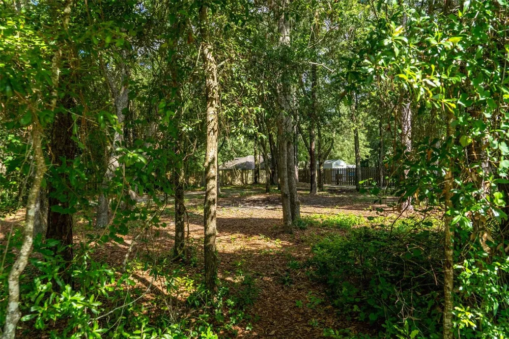 40 DEER TRAIL CIRCLE Bronson, FL 32621