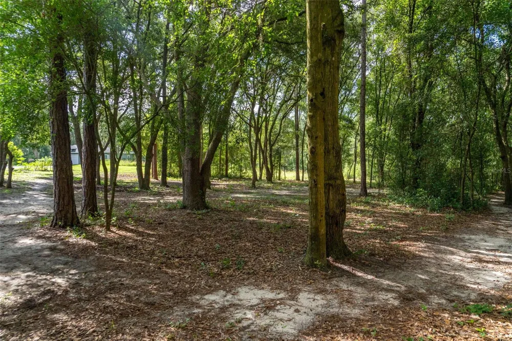 40 DEER TRAIL CIRCLE Bronson, FL 32621