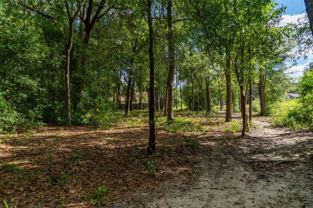 40 DEER TRAIL CIRCLE Bronson, FL 32621