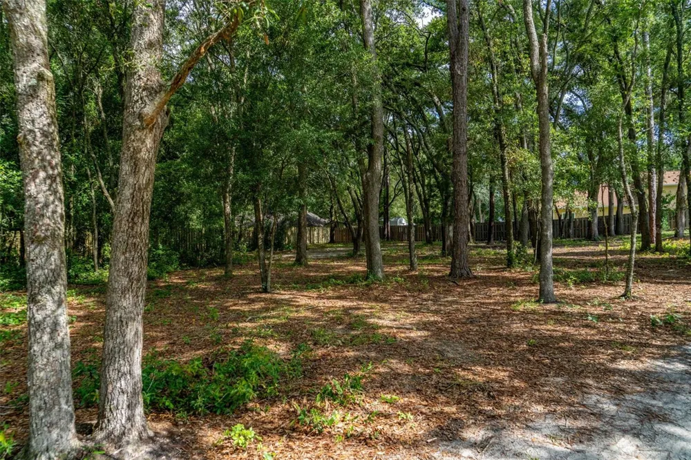 40 DEER TRAIL CIRCLE Bronson, FL 32621