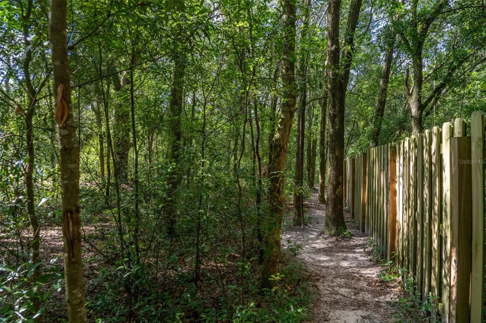 40 DEER TRAIL CIRCLE Bronson, FL 32621