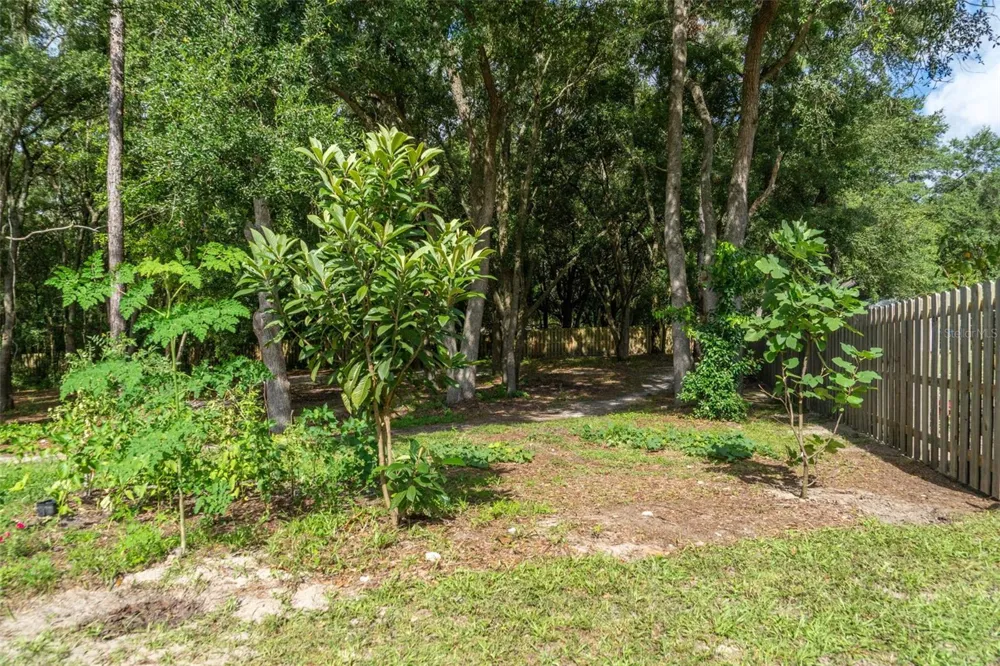 40 DEER TRAIL CIRCLE Bronson, FL 32621