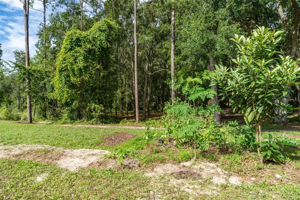 40 DEER TRAIL CIRCLE Bronson, FL 32621