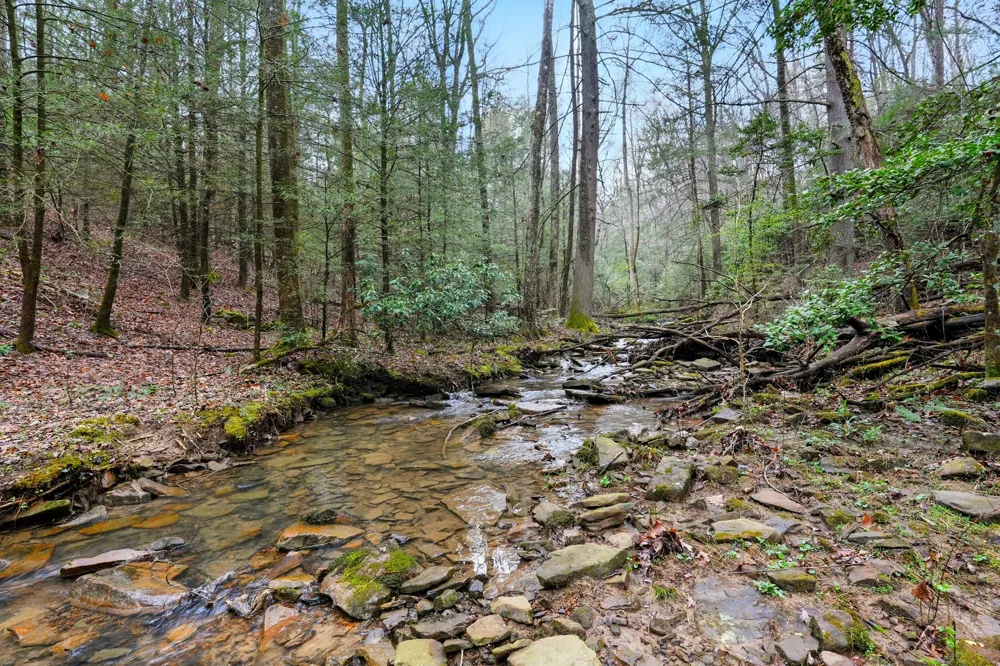2424 Corral Road Signal Mountain, TN 37377