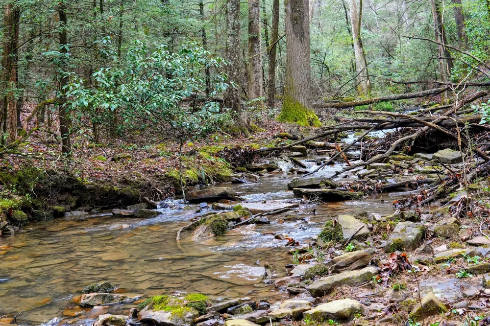 2424 Corral Road Signal Mountain, TN 37377