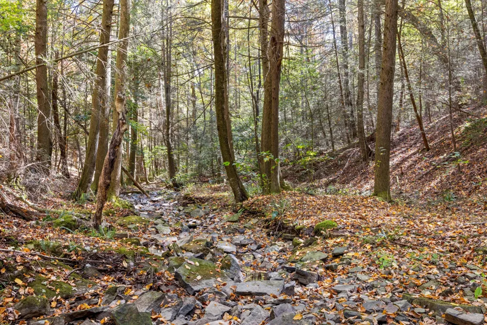 2424 Corral Road Signal Mountain, TN 37377