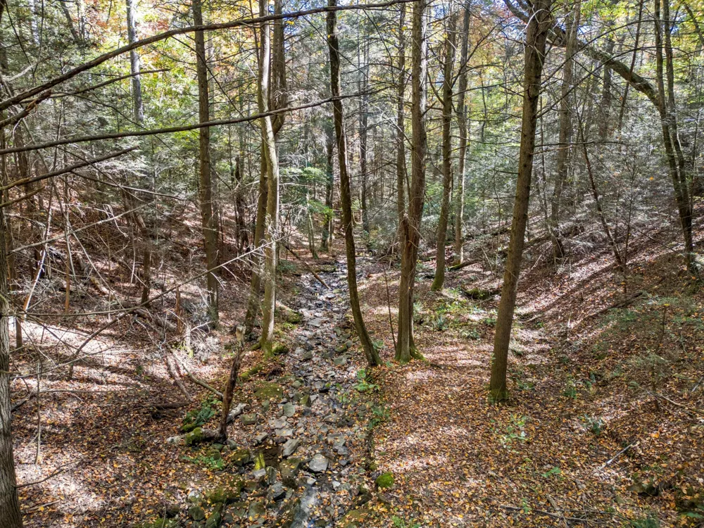 2424 Corral Road Signal Mountain, TN 37377