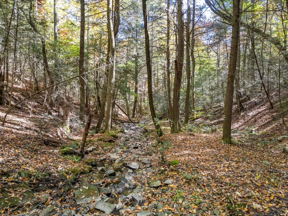 2424 Corral Road Signal Mountain, TN 37377