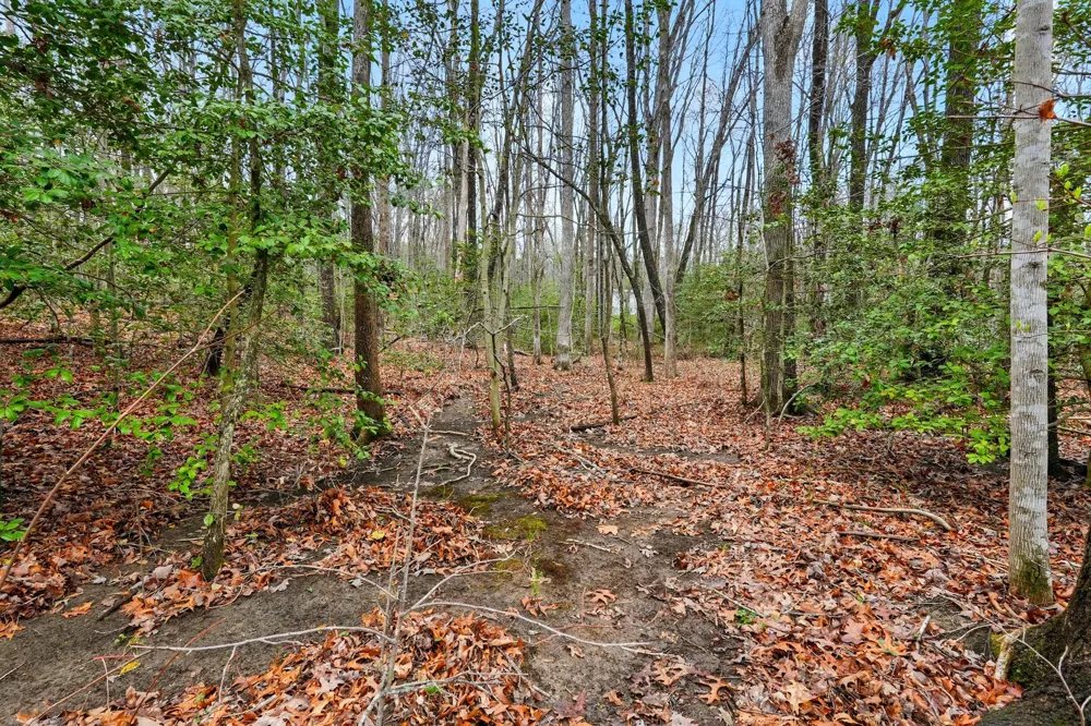 2424 Corral Road Signal Mountain, TN 37377