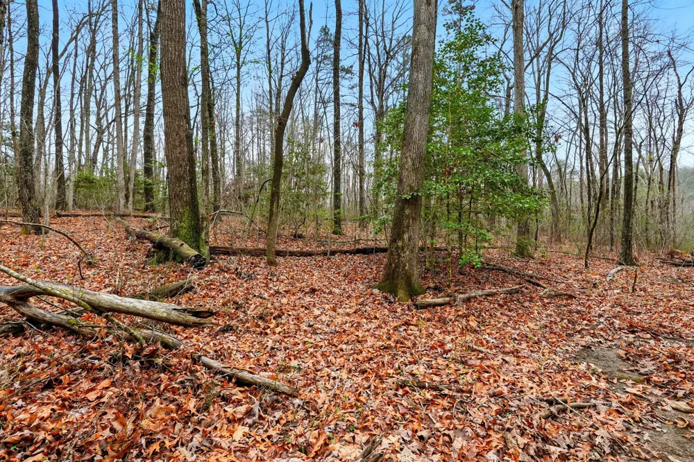 2424 Corral Road Signal Mountain, TN 37377