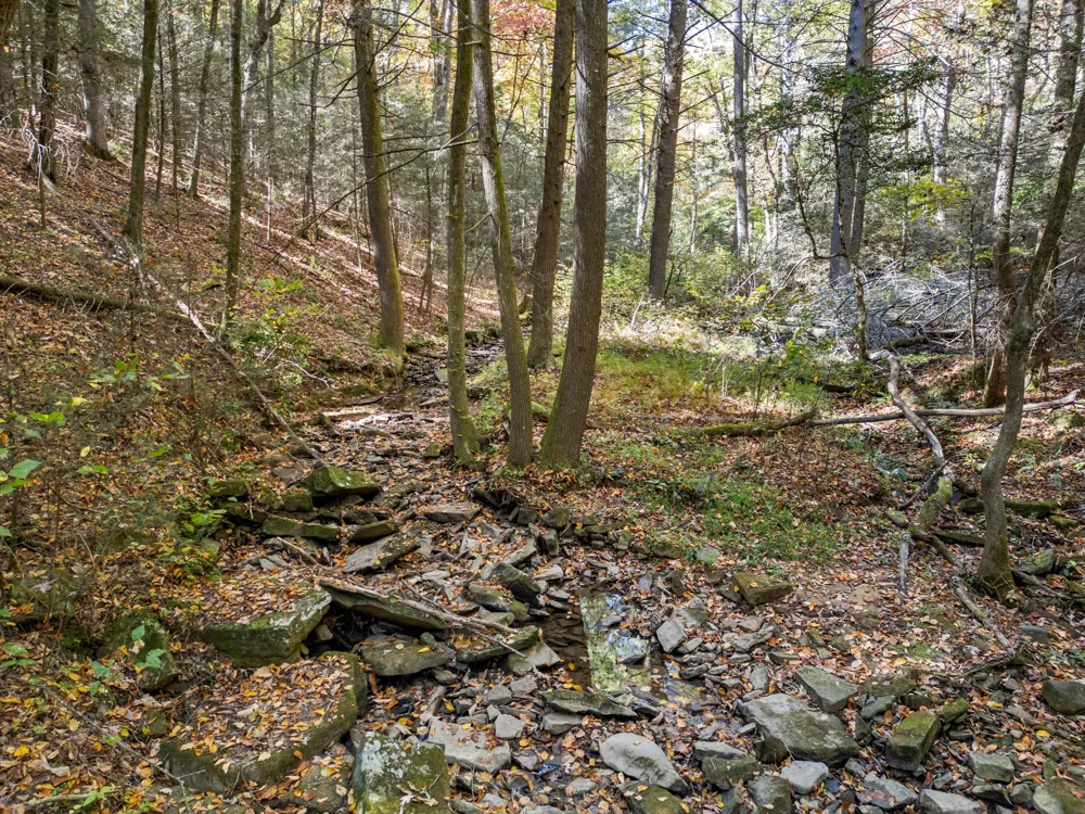 2424 Corral Road Signal Mountain, TN 37377